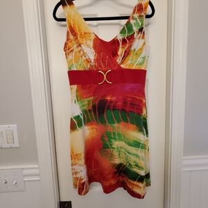 Vinyage Frank Lyman Design Pullover Dress Size 10